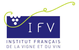 ifv