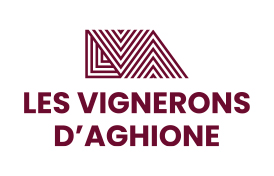 logo LVA sur fond blanc