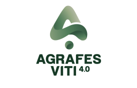 _agrafes